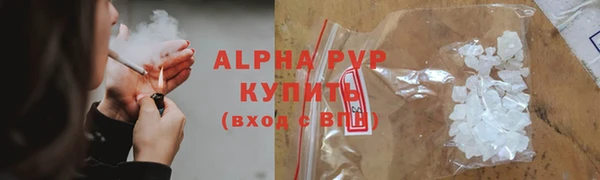 винт Алексин