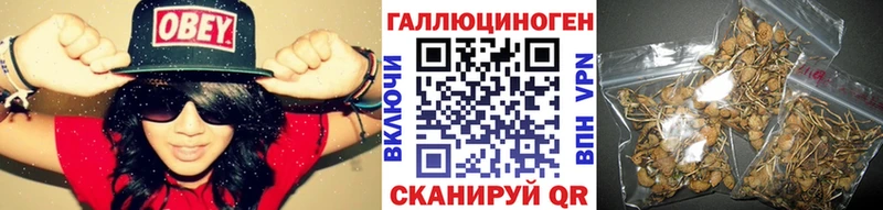 omg сайт  Туймазы  сайты даркнета состав  Галлюциногенные грибы мухоморы 